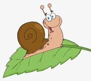 不想卷的蜗牛的个人资料头像