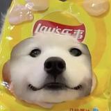 可乐多加冰红茶头像
