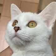 努力搬砖赚钱的个人资料头像