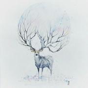 Hytrin的个人资料头像