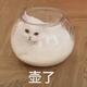 用户707575183501 · 发现运动版车主·车龄1年头像