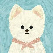 慕风27的个人资料头像