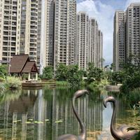 涛声依旧25893132头像