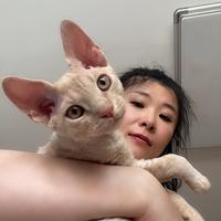 肥猫的旅游日记头像