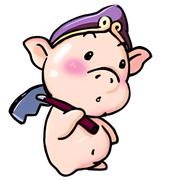 pzehrel的个人资料头像