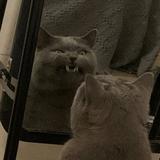 故事阿沫头像