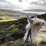 Leo________的个人资料头像