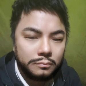 老刘刘真人头像