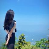 热情的枫叶kki头像
