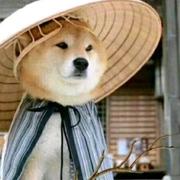 abc385的个人资料头像