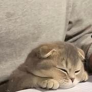 空喇喇的个人资料头像