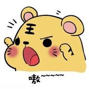 疯狂的杰尼龟的个人资料头像