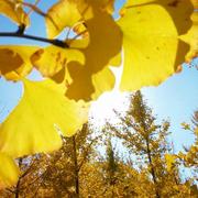 好一个名字的个人资料头像