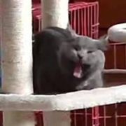 因为你好暖的个人资料头像