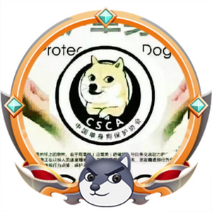 单身狗王轲头像