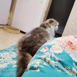 友人0r2h头像