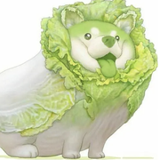 影落尘尘的个人资料头像