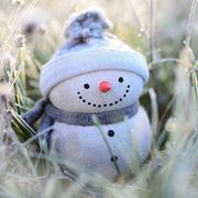 marigold932的个人资料头像