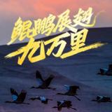 麦耍来头像