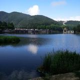 兵不厌炸473头像