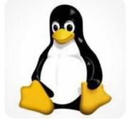 Object485的个人资料头像