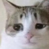 似水流年2633头像