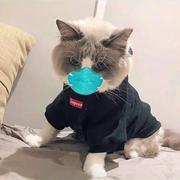 Hao的个人资料头像