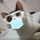 蒲公英的约定同志的个人资料头像