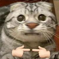 美食家比尔99头像