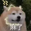 卷不动了的个人资料头像