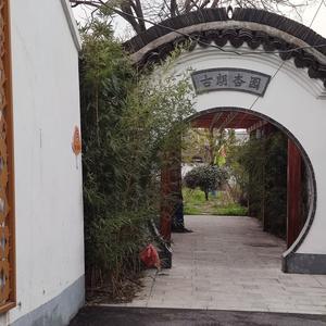 一往无前微风头像