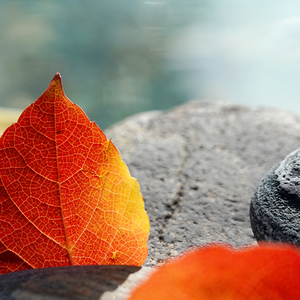 石头说车666头像