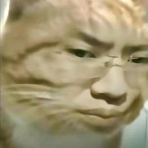 蘇头像