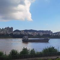 哇噻171406500头像