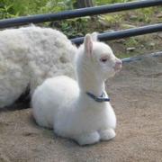 一切都来的不可思议的个人资料头像