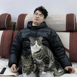 李二二二二头像