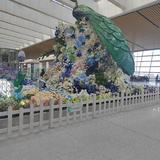 浅墨3000头像