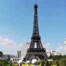 silence君52449的个人资料头像