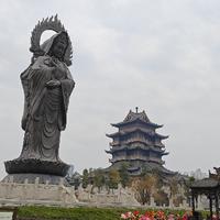 8福至心灵8头像