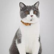 zer0_1s的个人资料头像