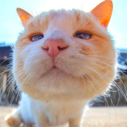 Jason______的个人资料头像