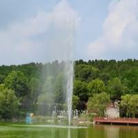 自在热情生活家zY头像