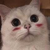 用户7395936053706头像