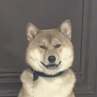 正能量宇宙4px头像