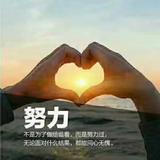 自强不息橘子U3头像