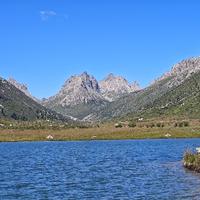 重庆阿杜淘车头像