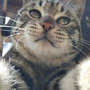 声慢慢的个人资料头像