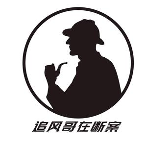 追风哥在断案头像