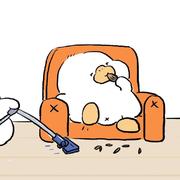 lollipop395的个人资料头像