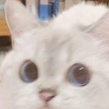 漫步人生路给崴了脚头像